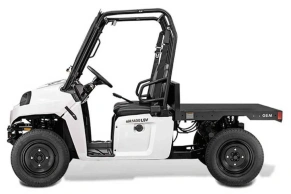 Электромобиль GEM eM 1400