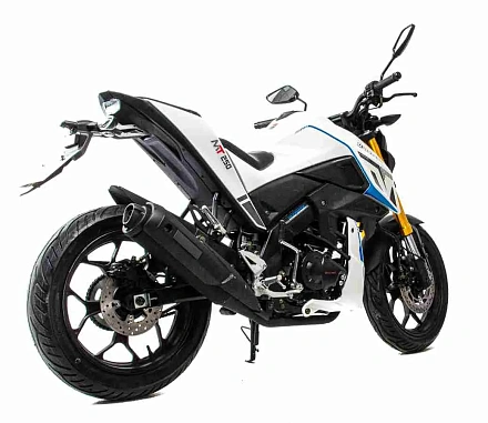 Мотоцикл Motoland MT 250 (172FMM-5/PR250)