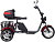 Электроскутер SKYBOARD CITYCOCO TRIKE BR80 - превью