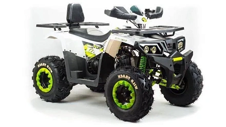 Квадроцикл Motoland 200 WILD TRACK LUX A