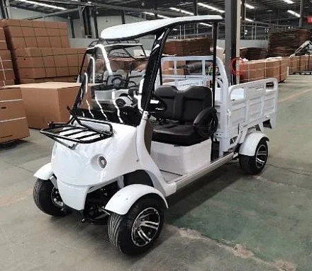 Электромобиль Гольфкар Green Camel A2C (2+Cargo 2500W 225/40-10' литые)