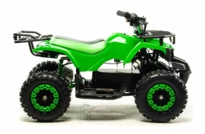Электроквадроцикл Motoland ATV E009 1000W