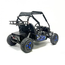 Багги Green Camel Намиб T10 (60V 2000W R8 Дифф)