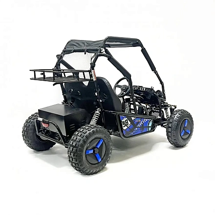 Багги Green Camel Намиб T10 (60V 2000W R8 Дифф)