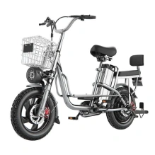 Электровелосипед Green Camel Транк Монстр (R16FAT 500W 48V15Ah) гидравлика