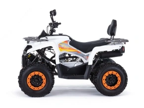 Квадроцикл MOTAX Grizlik 200 Ultra