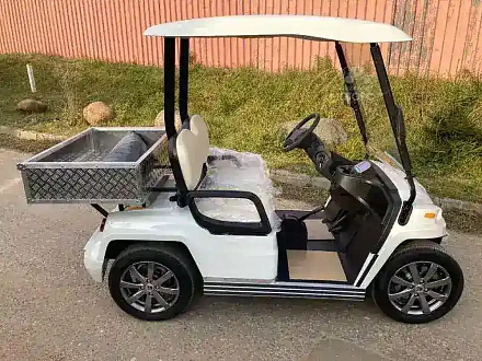 ГОЛЬФКАР КОНКОРДИЯ URBIS 2 С КУЗОВОМ