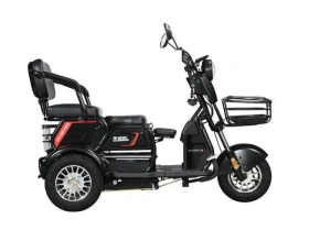 Электротрицикл WHITE SIBERIA SIBTRIKE 2000W