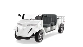 Гольфкар Elecar 5E-TIGARBO 4 Cabrio