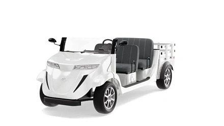 Гольфкар Elecar 5E-TIGARBO 4 Cabrio