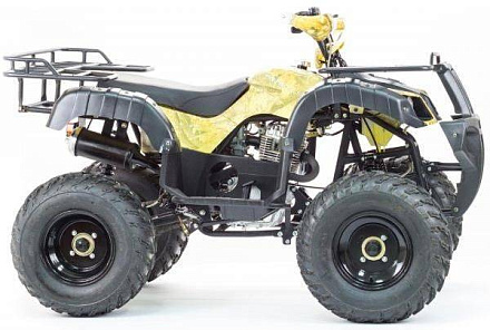 Квадроцикл Motoland 250 ADVENTURE