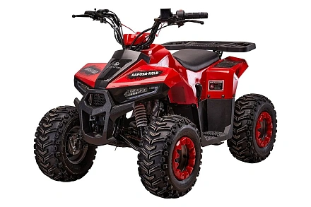 Квадроцикл YACOTA RAPOSA