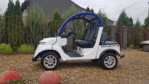 Гольфкар Elecar 5E-TIGARBO 2+2