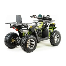 Квадроцикл Motoland 200 WILD TRACK PRO