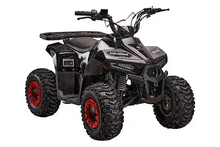 Квадроцикл YACOTA RAPOSA