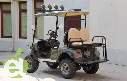Гольфкар Voltrix EAGLE EG2020ASZ