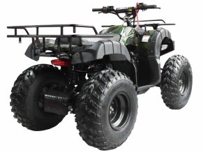 Квадроцикл Wels Thunder 150