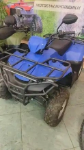 Квадроцикл IRBIS ATV250