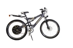 Электровелосипед E-motions Golden Motor 1000W