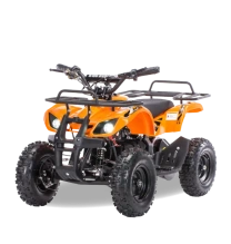 Электроквадроцикл MOTAX Mini Grizlik X-16 1000W