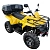 Квадроцикл IRBIS ATV200 LUX - превью