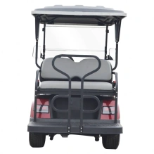 Гольфкар Green Camel LVTong  A22 (2+2, 4kW AC, R10)