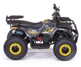 Квадроцикл MOTAX GRIZLIK MINI ES