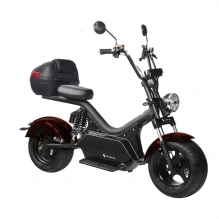 Электроскутер SKYBOARD CITYCOCO BR50-3000 PRO
