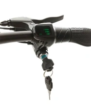 Электросамокат Carmega Stork