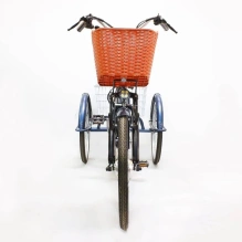 Электровелосипед Green Camel Трайк-24