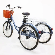 Электровелосипед Green Camel Трайк-24