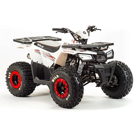 Квадроцикл Motoland 150 WILD