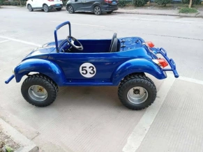 Электромобиль Green Camel Жук (60V 1500W R8 Дифференциал)