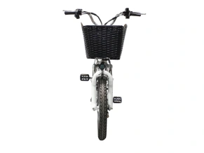 Электровелосипед Green Camel Транк-18 V2 (R18 250W)