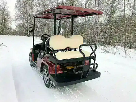 ГОЛЬФКАР КОНКОРДИЯ URBIS 2+2