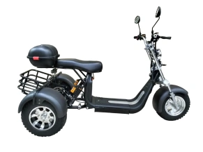 Электроскутер GT Citycoco X11 TRIKE