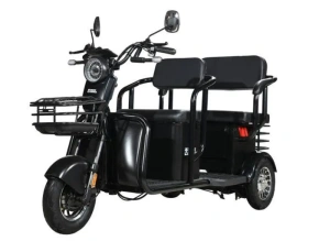 Электротрицикл WHITE SIBERIA SIBTRIKE R 2000W