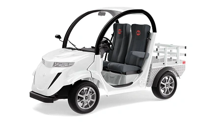 Гольфкар Elecar 5E-TIGARBO 2G