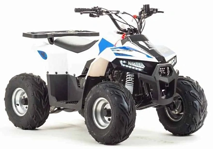 Квадроцикл Motoland 110 EAGLE (2020 г.)