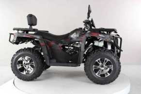 Квадроцикл Motax Grizlik 300