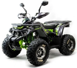 Квадроцикл Motoland (п) 125 WILD X PRO (2022 г.)