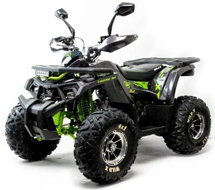 Квадроцикл Motoland (п) 125 WILD X PRO (2022 г.)