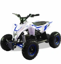 Электроквадроцикл MOTAX GEKKON 1300W