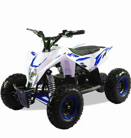 Электроквадроцикл MOTAX GEKKON 1300W