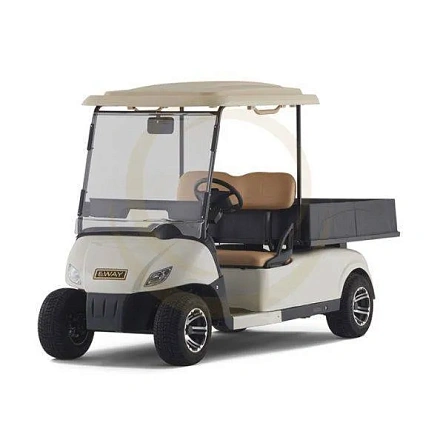 Гольф кар EWAY HMS1