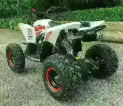 Квадроцикл MOTAX GEKKON 90cc 1+1 (Реверс)