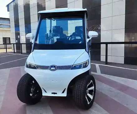 Гольфкар HDK EVOLUTION D3