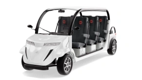 Гольфкар Elecar 5E-TIGARBO 6+2