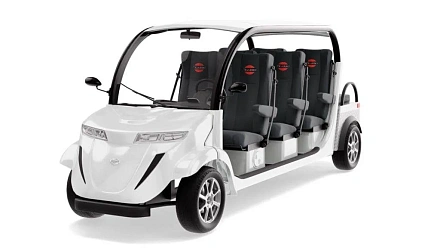 Гольфкар Elecar 5E-TIGARBO 6+2