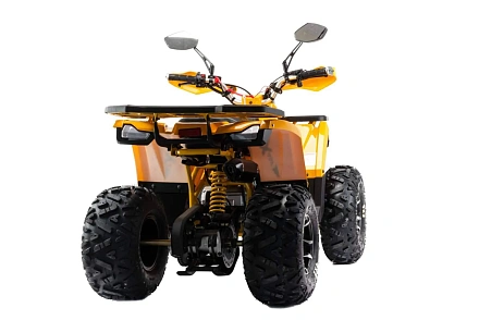 Квадроцикл Motoland (п) 125 WILD X PRO А